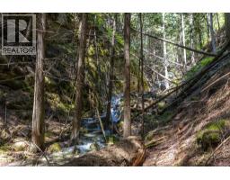 Sunnybrae Canoe Point Road Lot# 2, Tappen, BC V0E2X1 Photo 38