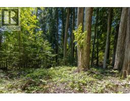 Sunnybrae Canoe Point Road Lot# 2, Tappen, BC V0E2X1 Photo 30