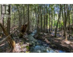 Sunnybrae Canoe Point Road Lot# 2, Tappen, BC V0E2X1 Photo 32