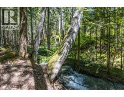 Sunnybrae Canoe Point Road Lot# 2, Tappen, BC V0E2X1 Photo 33