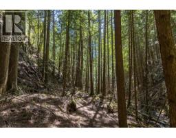 Sunnybrae Canoe Point Road Lot# 2, Tappen, BC V0E2X1 Photo 37