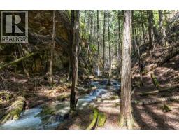 Sunnybrae Canoe Point Road Lot# 2, Tappen, BC V0E2X1 Photo 8