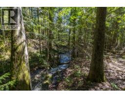 Sunnybrae Canoe Point Road Lot# 2, Tappen, BC V0E2X1 Photo 10