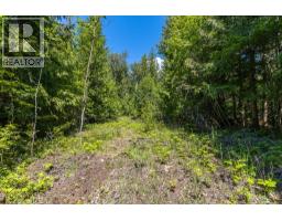 Sunnybrae Canoe Point Road Lot# 2, Tappen, BC V0E2X1 Photo 31