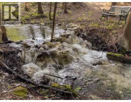 Sunnybrae Canoe Point Road Lot# 2, Tappen, BC V0E2X1 Photo 12