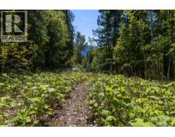 Sunnybrae Canoe Point Road Lot# 2, Tappen, BC V0E2X1 Photo 29