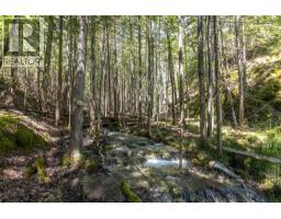 Sunnybrae Canoe Point Road Lot# 2, Tappen, BC V0E2X1 Photo 34