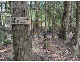 Sunnybrae Canoe Point Road Lot# 2, Tappen, BC V0E2X1 Photo 41