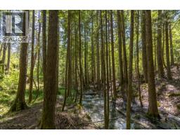 Sunnybrae Canoe Point Road Lot# 2, Tappen, BC V0E2X1 Photo 9
