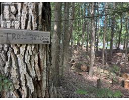 Sunnybrae Canoe Point Road Lot# 2, Tappen, BC V0E2X1 Photo 13