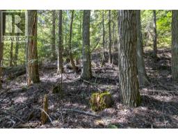 Sunnybrae Canoe Point Road Lot# 2, Tappen, BC V0E2X1 Photo 35