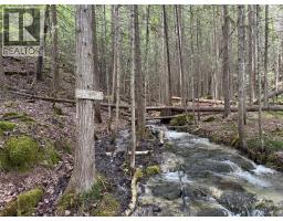 Sunnybrae Canoe Point Road Lot# 2, Tappen, BC V0E2X1 Photo 42