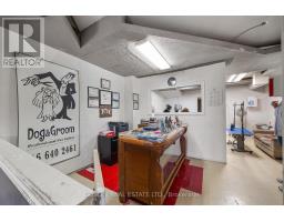 511 Mount Pleasant Road, Toronto, ON M4S2M4 Photo 19