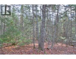 Lot 24-8 Creekview Lane, Galloway, NB E4W2G6 Photo 8