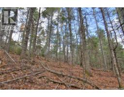 Lot 24-8 Creekview Lane, Galloway, NB E4W2G6 Photo 14