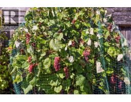 5212 Gainsberg Rd, Bowser, BC V0R1G0 Photo 38
