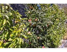 5212 Gainsberg Rd, Bowser, BC V0R1G0 Photo 39