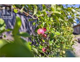 5212 Gainsberg Rd, Bowser, BC V0R1G0 Photo 40