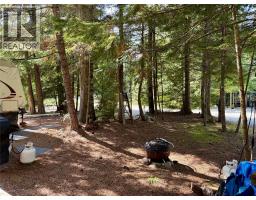 3499 Luoma Road Lot# 44, Malakwa, BC V0E2J0 Photo 6