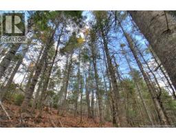 Lot 24-9 Creekview Lane, Galloway, NB E4W2G6 Photo 10