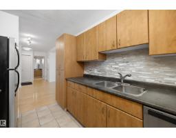 #1205 10303 105 St Nw, Edmonton, AB T5J5G3 Photo 13