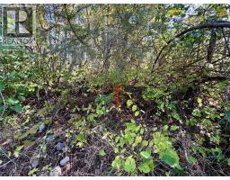Massie Road Lot# 8, Christina Lake, BC V0H1E0 Photo 6