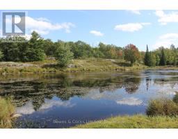 Lt 22-24 Con 1 Lake, Marmora And Lake, ON K0K2M0 Photo 20