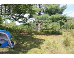 Lt 22-24 Con 1 Lake, Marmora And Lake, ON K0K2M0 Photo 21
