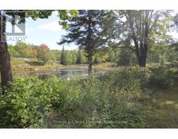 Lt 22-24 Con 1 Lake, Marmora And Lake, ON K0K2M0 Photo 22