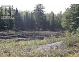 Lt 22-24 Con 1 Lake, Marmora And Lake, ON K0K2M0 Photo 25