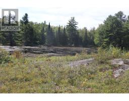 Lt 22-24 Con 1 Lake, Marmora And Lake, ON K0K2M0 Photo 26