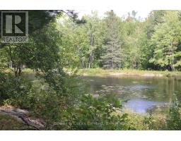 Lt 22-24 Con 1 Lake, Marmora And Lake, ON K0K2M0 Photo 28
