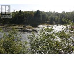 Lt 22-24 Con 1 Lake, Marmora And Lake, ON K0K2M0 Photo 44