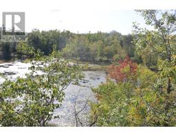 Lt 22-24 Con 1 Lake, Marmora And Lake, ON K0K2M0 Photo 45