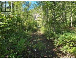 4504 Yellowhead Highway S, Little Fort, BC V0E2C0 Photo 12