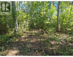 4504 Yellowhead Highway S, Little Fort, BC V0E2C0 Photo 11