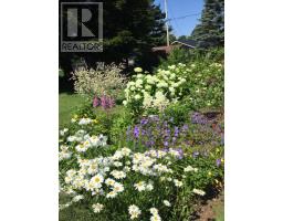 113 Maple Avenue, Charlottetown, PE C1A6G4 Photo 26