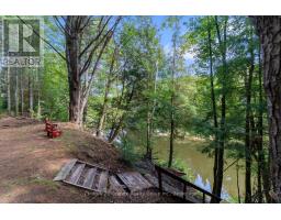 58 Winchester Drive, Kawartha Lakes, ON K0M1C0 Photo 28