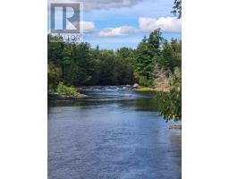 58 Winchester Drive, Kawartha Lakes, ON K0M1C0 Photo 40