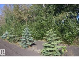 Twp Rd 610 Rg Rd 253, Rural Westlock County, AB T0G0P0 Photo 8
