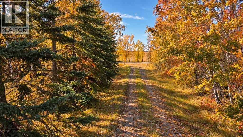 0 RR 251, Rural Red Deer County, Alberta, T0M1S0, Rural Red Deer County, Alberta — photo 1 of 5