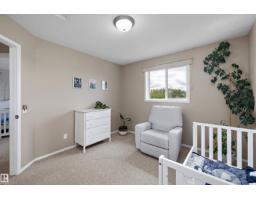 4616 191 St Nw, Edmonton, AB T6M2Y2 Photo 26