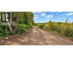 412 Route 695, Whites Cove, NB E4C2B7 Photo 14