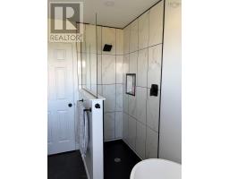 256 Douglas Street, New Waterford, NS B1H4E9 Photo 23