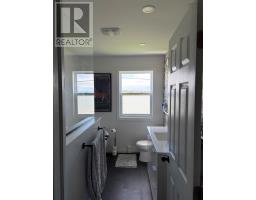 256 Douglas Street, New Waterford, NS B1H4E9 Photo 19