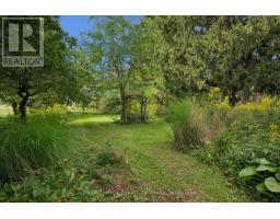 5512 Township Rd 3, Guelph/eramosa, ON N0B2M0 Photo 21