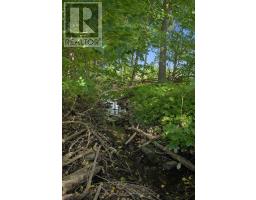 5512 Township Rd 3, Guelph/eramosa, ON N0B2M0 Photo 24