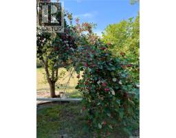 Double G Ranch, 80 Acres Close To Clavet, Blucher Rm No  343, SK S0K0Y0 Photo 34