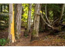 899,875 Andreef Rd, Qualicum Beach, BC V9K2T6 Photo 59
