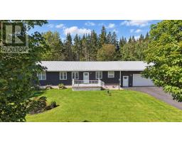 102 West Side Middle River Road, Middle River, NS B0E1B0 Photo 42